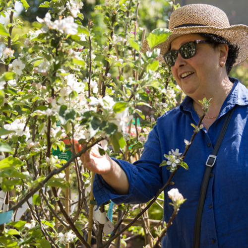 Fr&uuml;hlingsfest in den Sp&auml;thschen Baumschulen &nbsp; &nbsp;